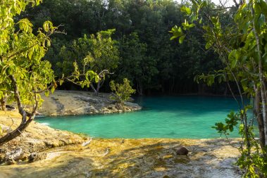 Jungle Trekking