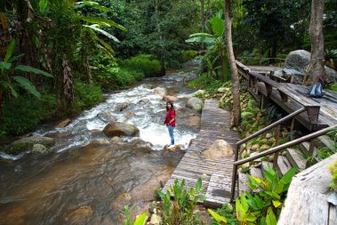Jungle Trekking